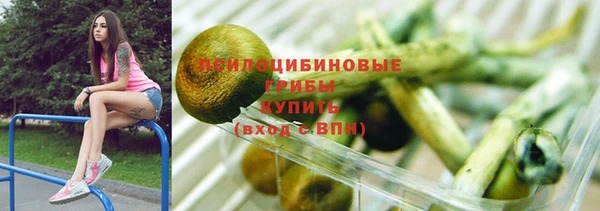 прущий лед Тайга