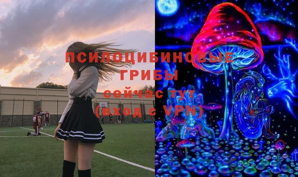 jwh Сясьстрой