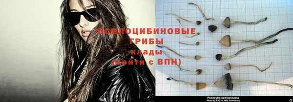 jwh Сясьстрой